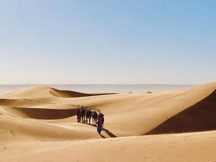 reisen_sahara.jpg